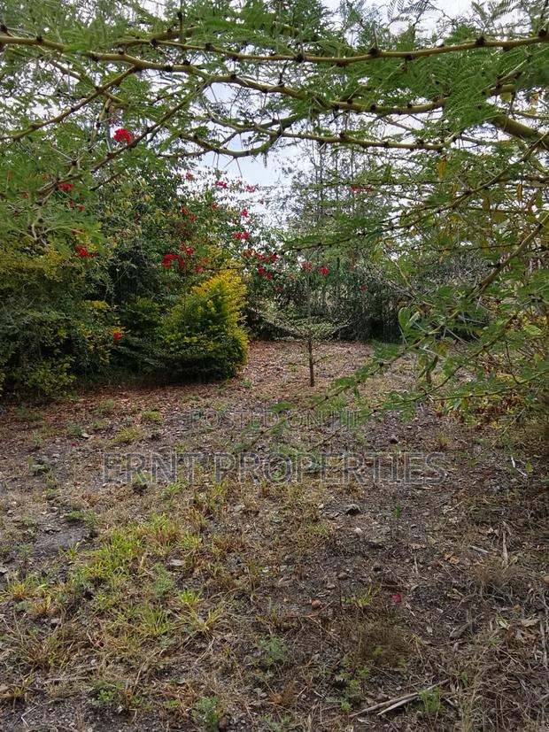 50 by 100 Plots in Kinanie - thumbnail 10