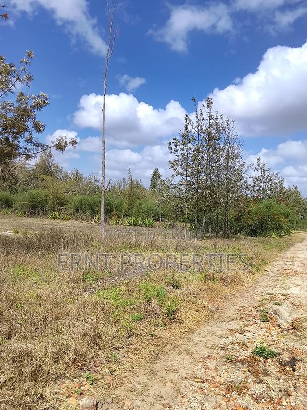 50 by 100 Plots in Kinanie - thumbnail 11