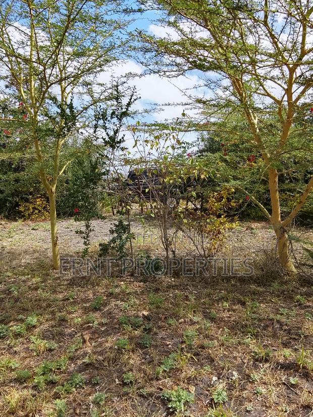 50 by 100 Plots in Kinanie - thumbnail 4