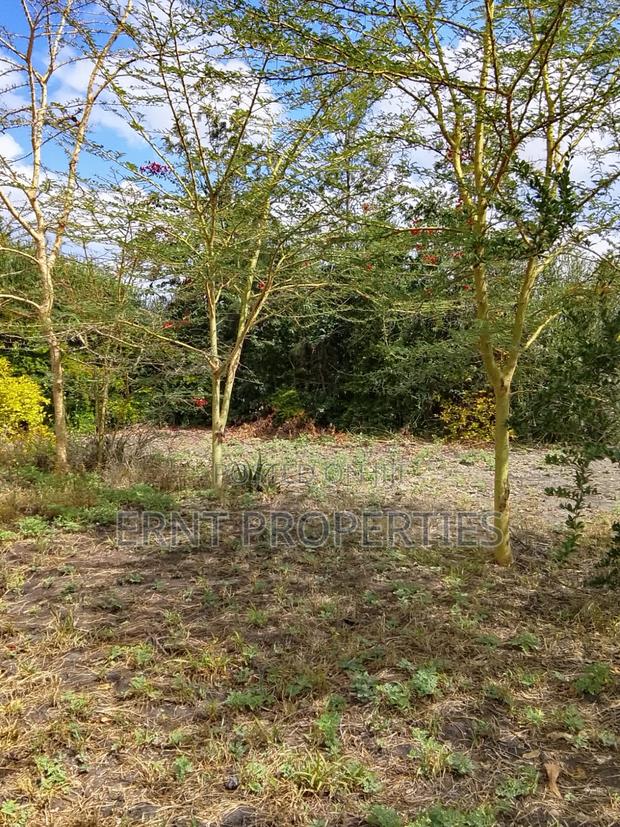 50 by 100 Plots in Kinanie - thumbnail 5