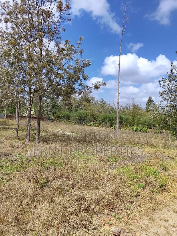 50 by 100 Plots in Kinanie - thumbnail 13