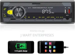 Mp3/Fm/Aux in/Usb/Tf Input App Control LCD Digital Display