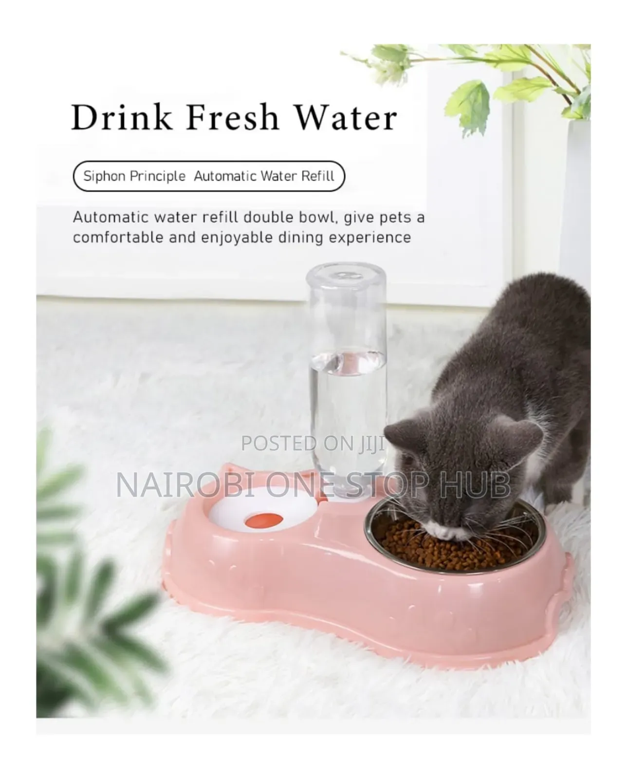 Automatic Single Pet Bowl Water Dispenser