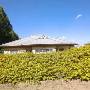 3bdrm Bungalow in Rimpa for rent