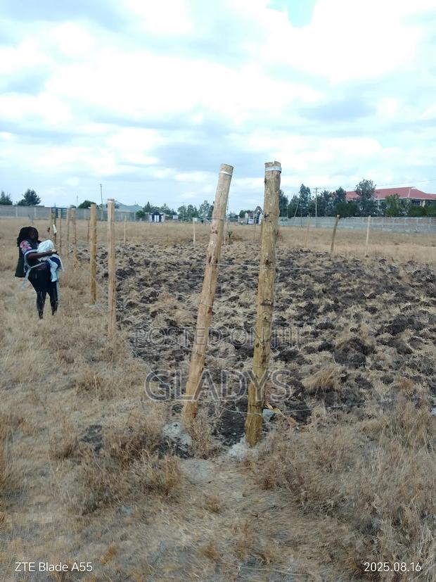 Selling Plot - main view