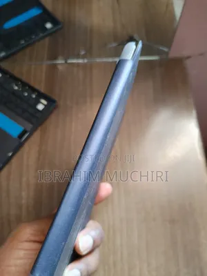 iPad Mini Case