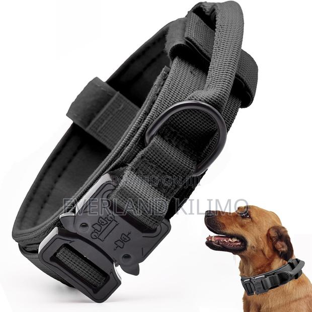 Upgrade Tactical Dog Collar - main view