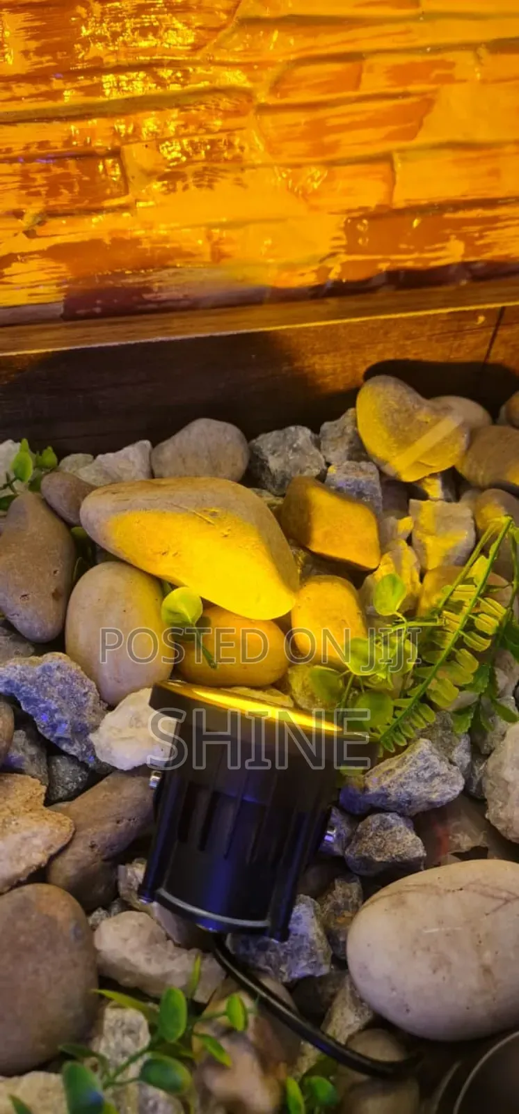 Coloured and Non Coloured Garden Light