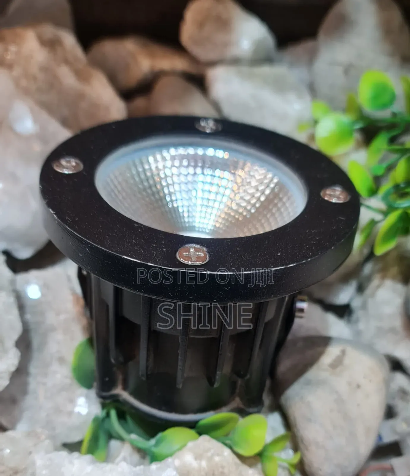 Coloured and Non Coloured Garden Light