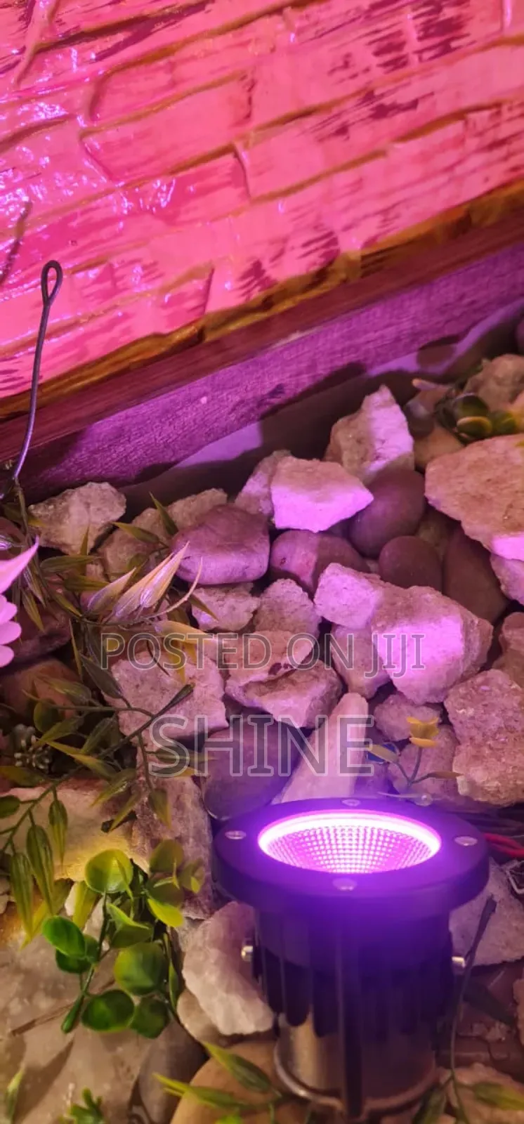 Coloured and Non Coloured Garden Light