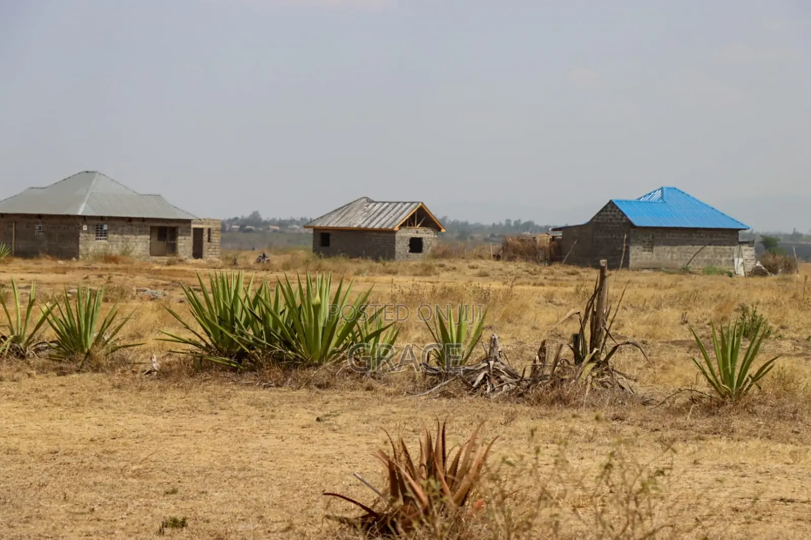 Affordable 40x80 Residential Plot in Juja Town at Kes