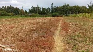 Kenol Makuyu Prime Agricultural 613 Acres