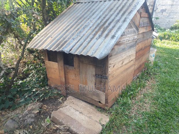 Dog Kennel - main view