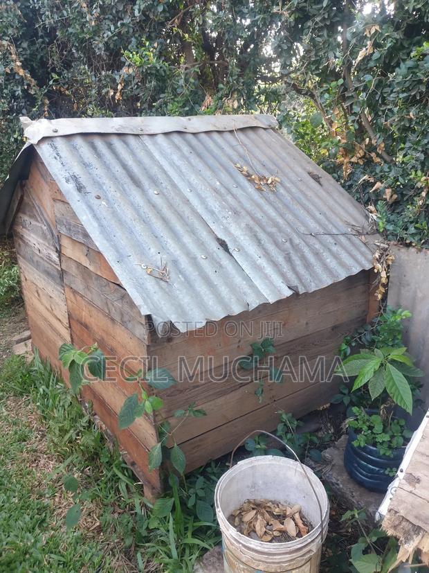 Dog Kennel - thumbnail 4