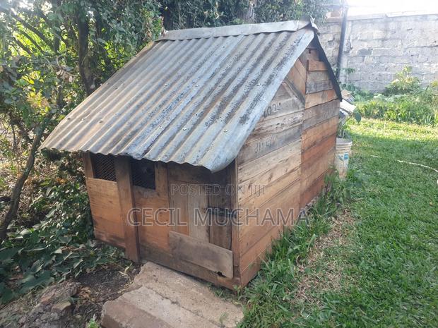 Dog Kennel - thumbnail 6