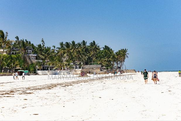 Prime Gated Community Plots in Diani Kinondo. - thumbnail 6