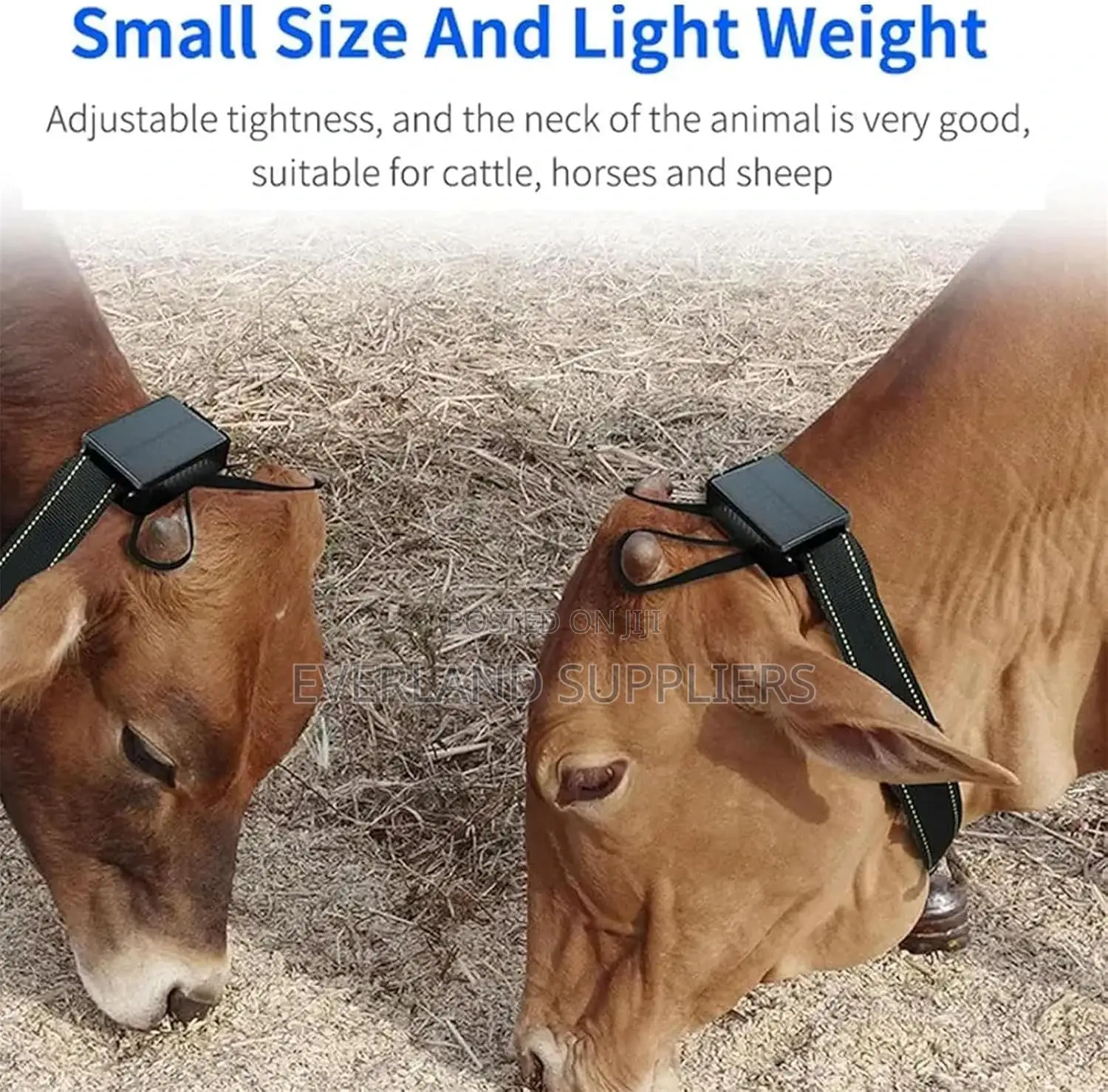 Solar Animal Gps Tracker