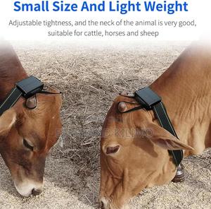 Solar Animal Gps Tracker - main view