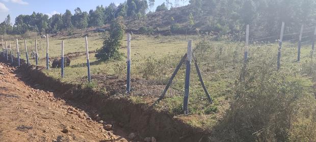Plots for Sale Kikuyu Thigio - thumbnail 2