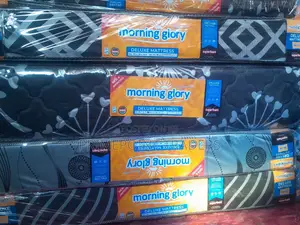 4x6 10-Inch Comfortable Foam Mattress