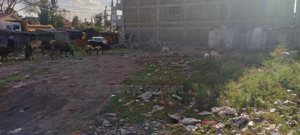 Utawala Plots for Lease. 3 Adjacent 40*80ft Plots, Benedicta. - main view