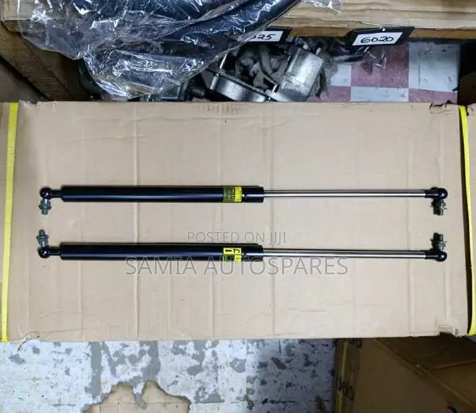 Boot Shock Lexus 450 / Ls 400