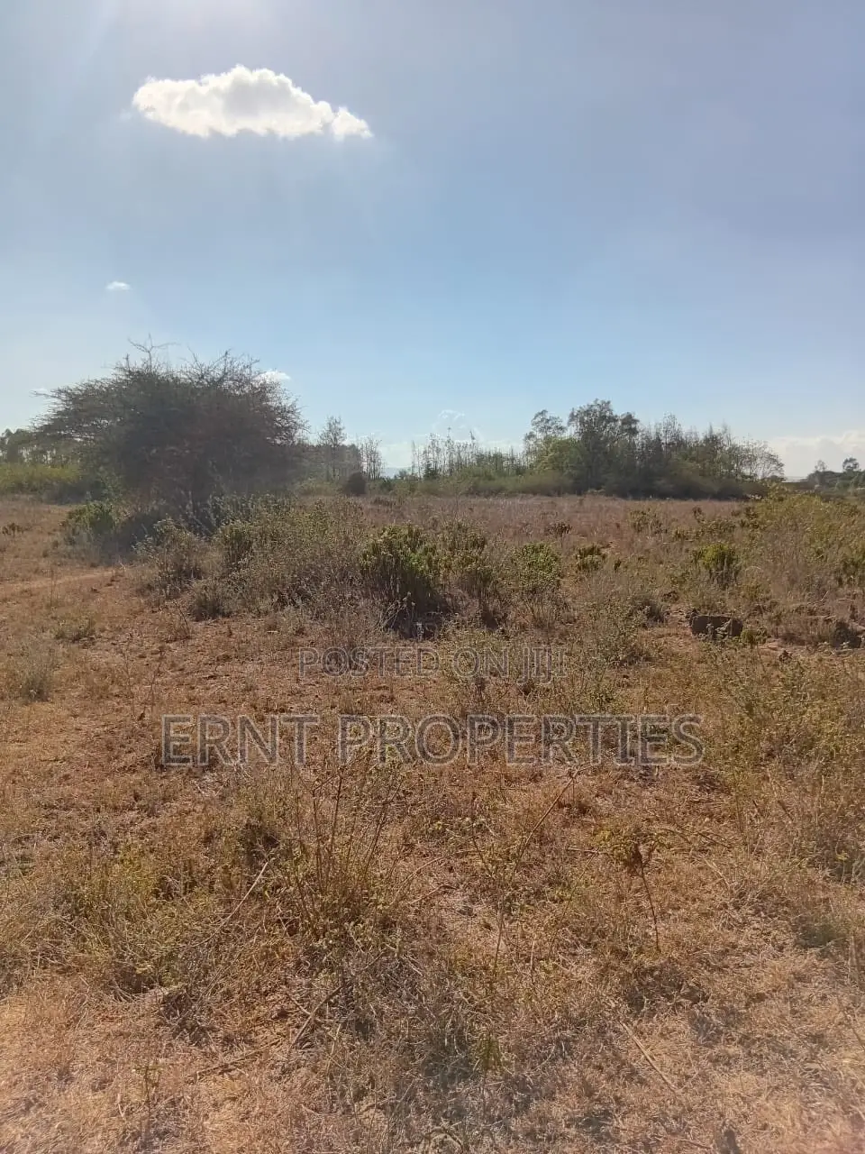 2.5 Acres Prime Land for Sale in Machakos Kyumbi