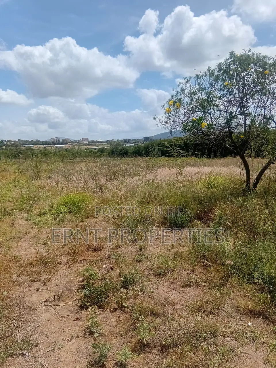 2.5 Acres Prime Land for Sale in Machakos Kyumbi