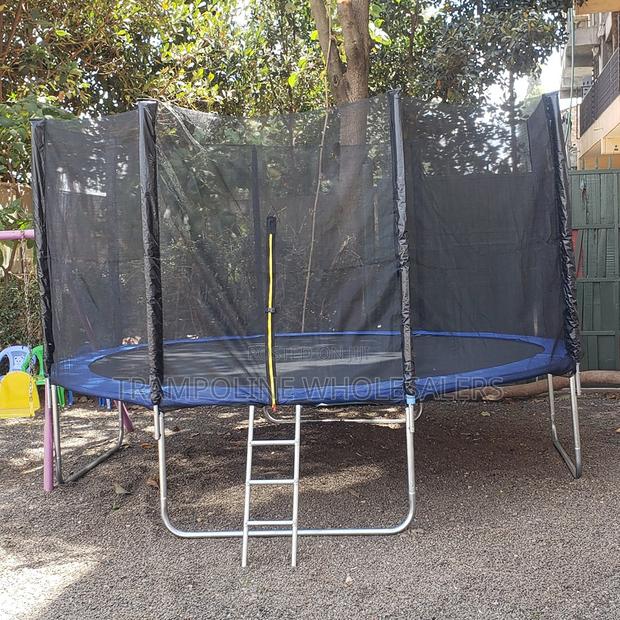 Perfect Outdoor Fitness Companion Trampolines
