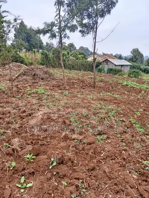 Plot for Sale in Kikuyu, Gikambura Area (1/8th or 50x100 Plot)