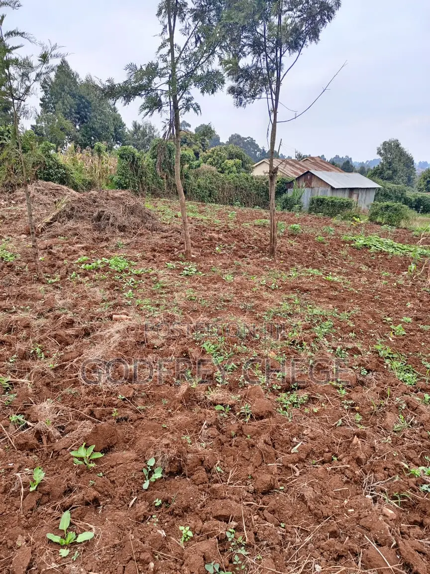 Plot for Sale in Kikuyu, Gikambura Area (1/8th or 50x100 Plot)