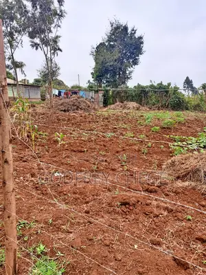 Plot for Sale in Kikuyu, Gikambura Area (1/8th or 50x100 Plot)