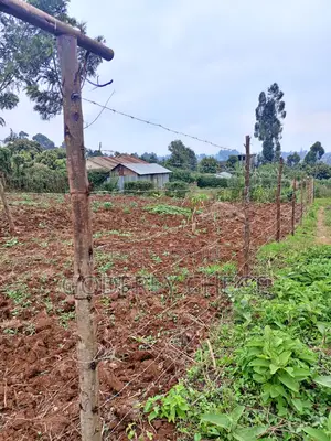 Plot for Sale in Kikuyu, Gikambura Area (1/8th or 50x100 Plot)