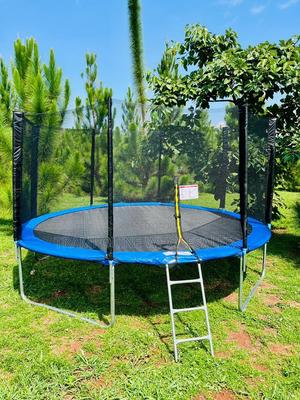 Spacious Durable Reliable Backyard Trampoline - thumbnail 2