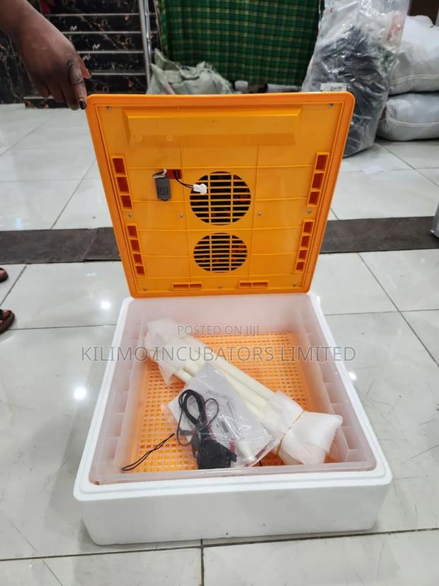 64 Eggs Capacity Incubator - thumbnail 3