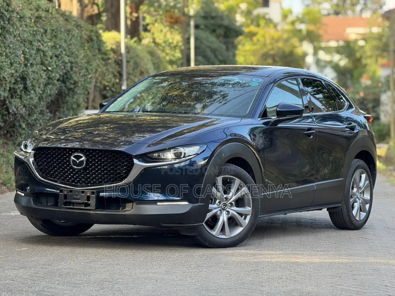 Mazda CX-30 2020 Blue