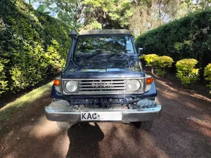 Toyota Land Cruiser 80 Wagon 4.2 D 1993 Blue