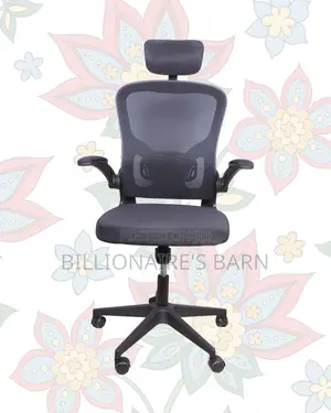 Ergonomic Work Chair for Home and Office | Neat Professional Look