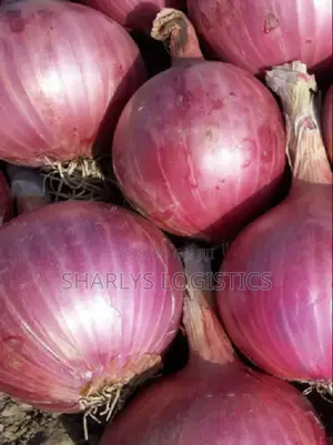 Fresh Red Onions .