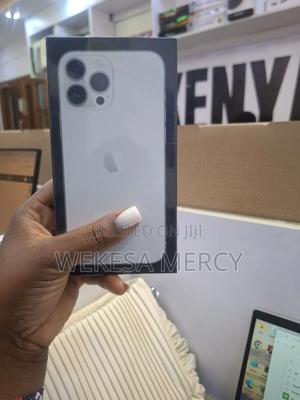 New Apple iPhone 13 Pro Max 256 GB Silver - main view