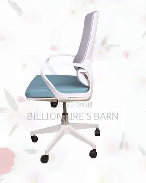 Mid-Back Mesh Task Chair for Work | Executive Finish, Backrest