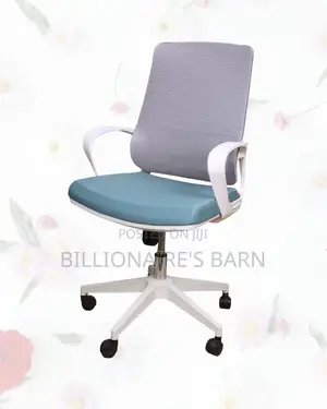 Mid-Back Mesh Task Chair for Work | Executive Finish, Backrest