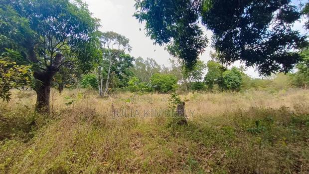 Mtwapa 50 by 100 Next to Affordable Housing. - thumbnail 4