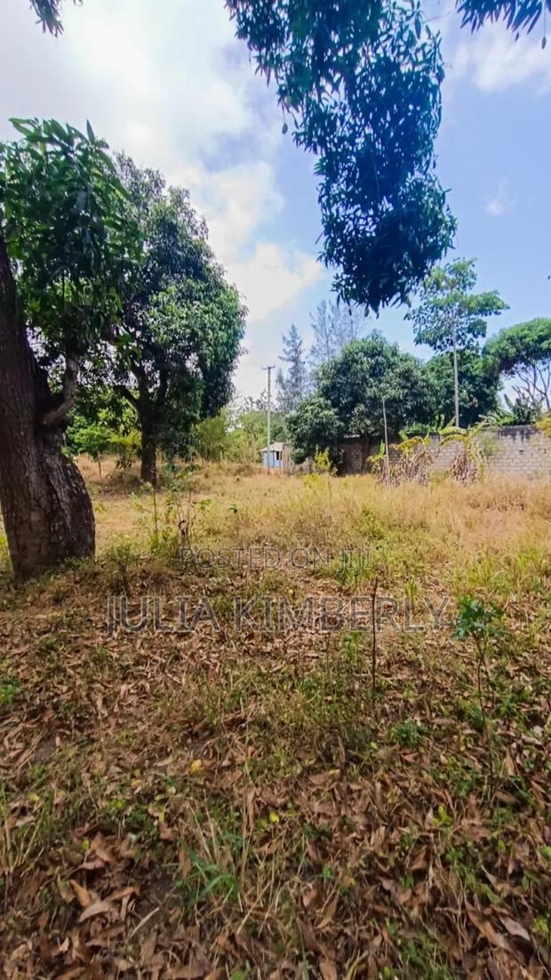 Mtwapa 50 by 100 Next to Affordable Housing. - thumbnail 6