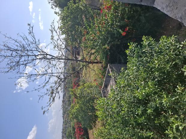 1/4 Acre Plot in Utawala - main view