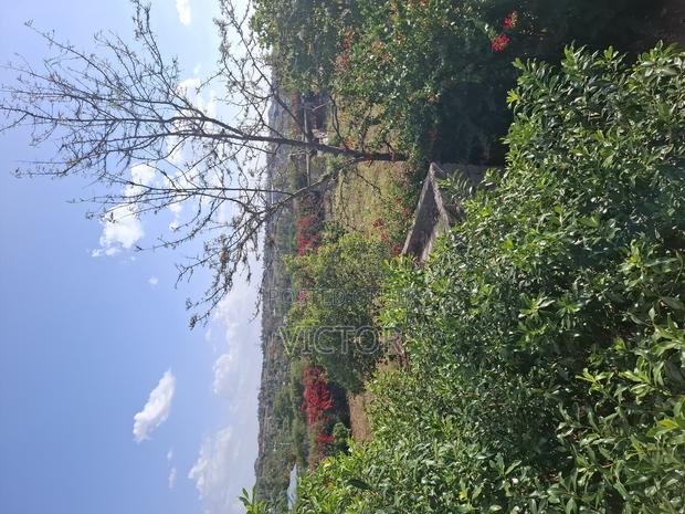 1/4 Acre Plot in Utawala - thumbnail 3