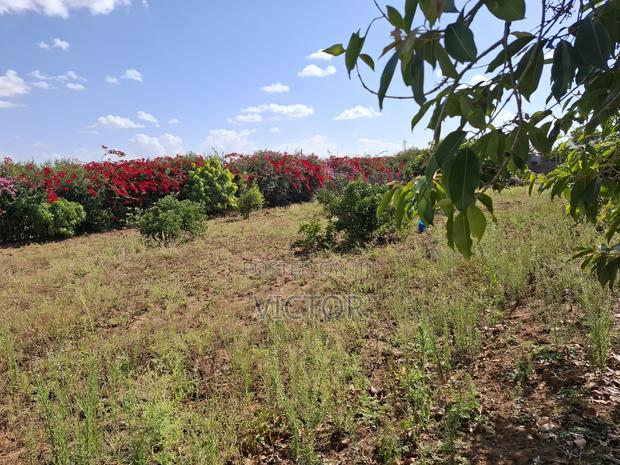 1/4 Acre Plot in Utawala - thumbnail 5