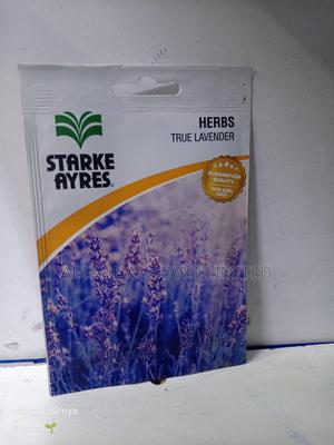 True Lavender Herb Seed 0.8 Gram - thumbnail 2