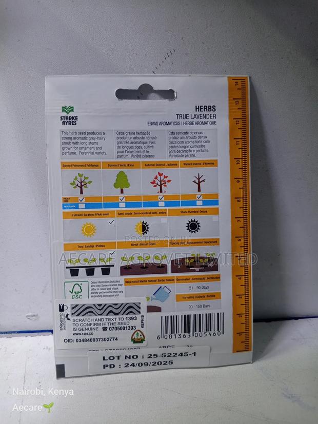 True Lavender Herb Seed 0.8 Gram - thumbnail 3