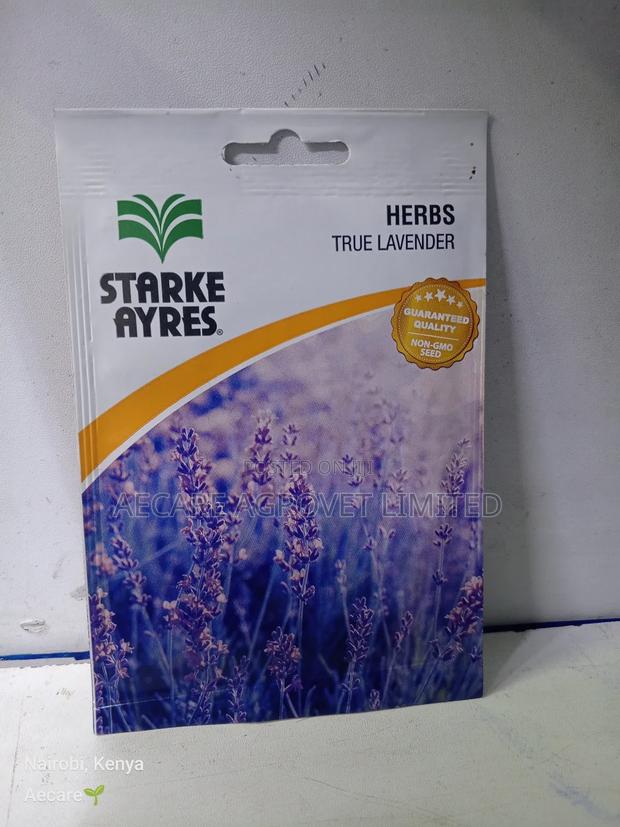 True Lavender Herb Seed 0.8 Gram - thumbnail 5